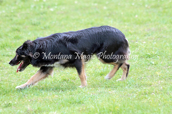 Frankie_0821