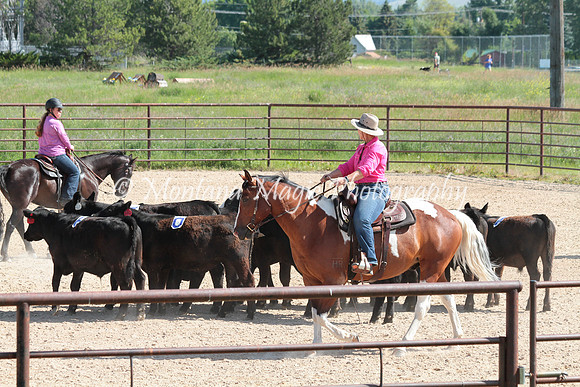 Cattle Clinic Team 2_2264
