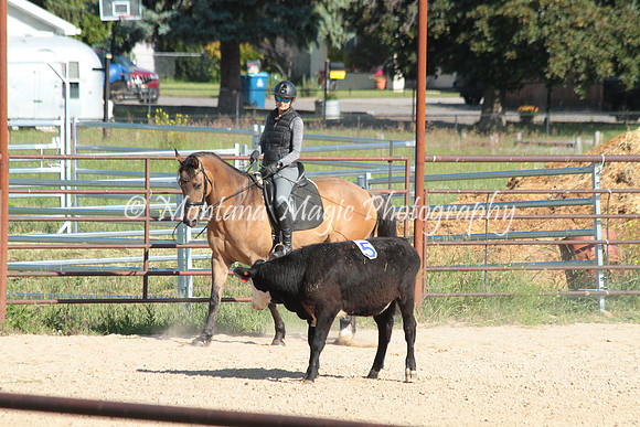 Cattle Clinic Team 1_2212