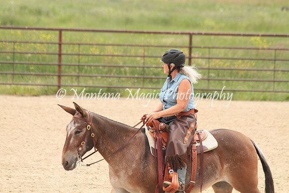 Cattle Clinic Team 4_2380