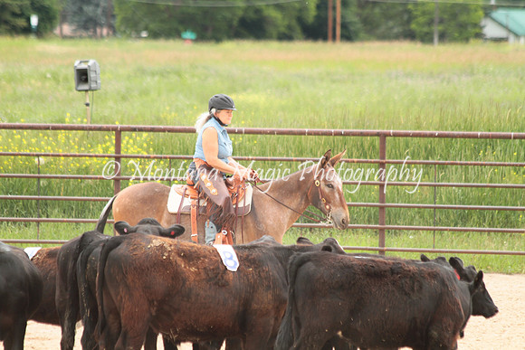 Cattle Clinic Team 4_2402
