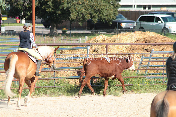 Cattle Clinic Team 1_2217
