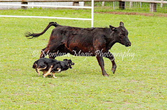 Frankie_0424