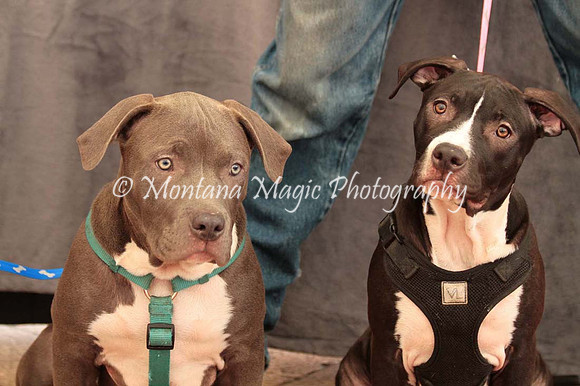 Ezekial & Diamond_0360