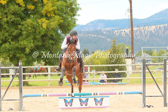 Switchback Creek_3901