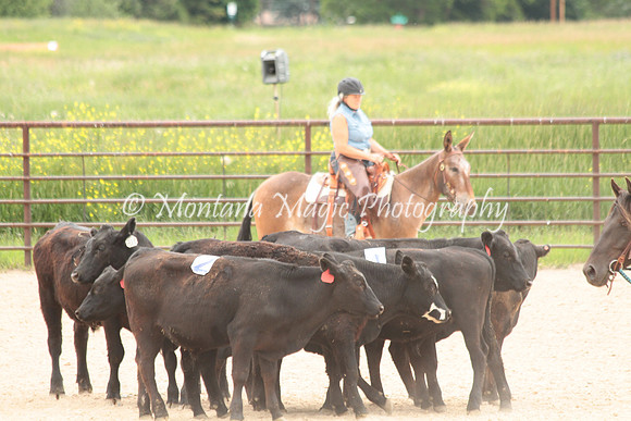 Cattle Clinic Team 4_2388