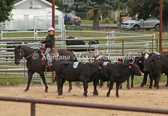 Sorting Team 3_2576