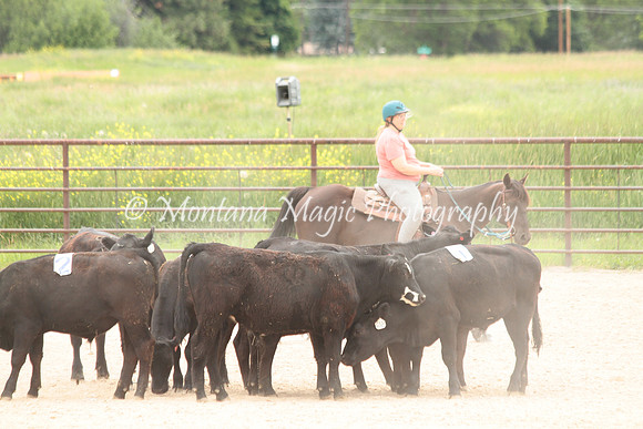 Cattle Clinic Team 4_2383