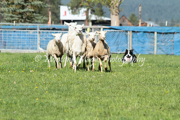 Tippy_8937