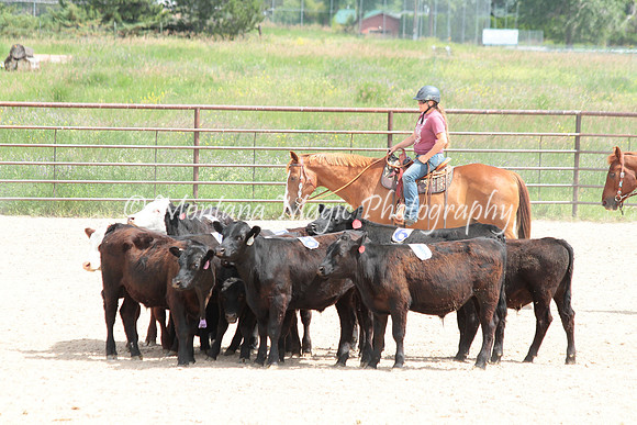 Cattle Clinic Team 3_2321