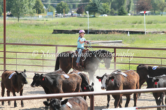 Cattle Clinic Team 2_2253