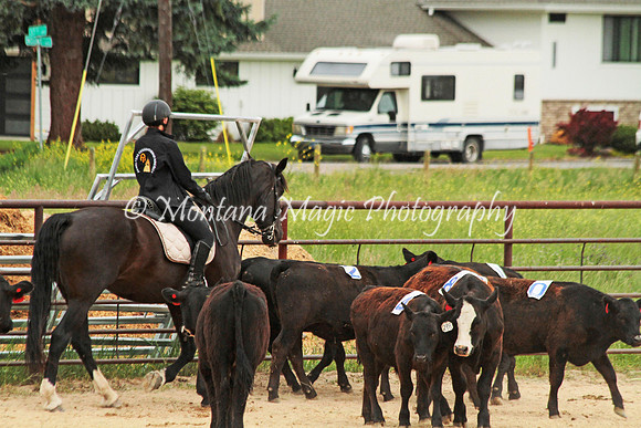 Sorting Team 3_2593