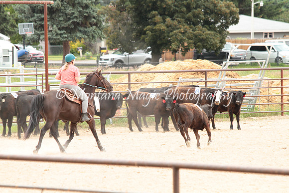 Cattle Clinic Team 4_2422