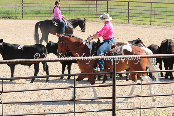 Cattle Clinic Team 2_2259