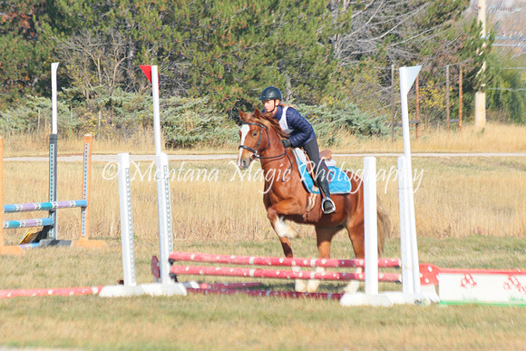 Snoop Horse_4735