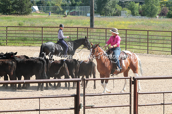 Cattle Clinic Team 2_2262
