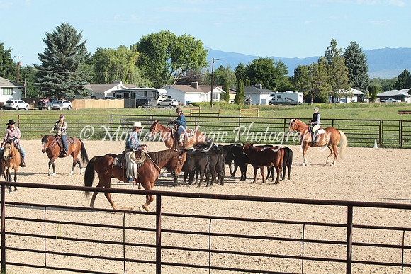 Cattle Clinic Team 1_2198