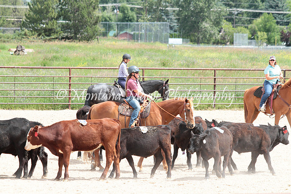 Cattle Clinic Team 3_2324