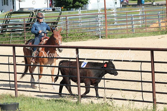 Cattle Clinic Team 1_2223