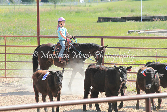 Cattle Clinic Team 2_2251