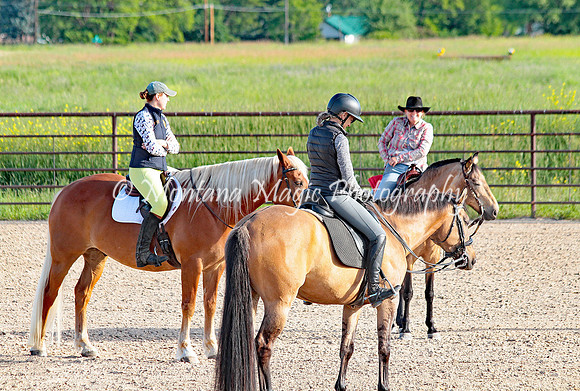 Cattle Clinic Team 1_2175