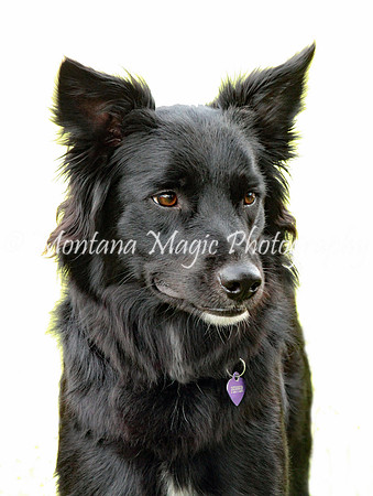 Pepper_0309