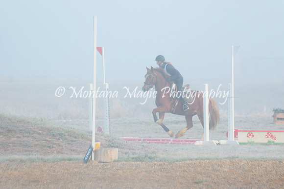 Snoop Horse_4409