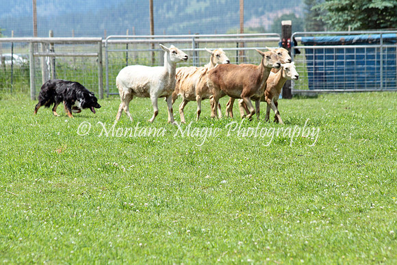 Jim_0761