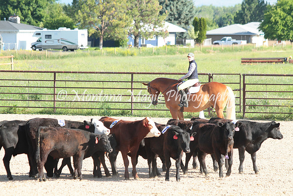 Cattle Clinic Team 1_2188