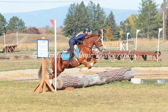 Snoop Horse_4739