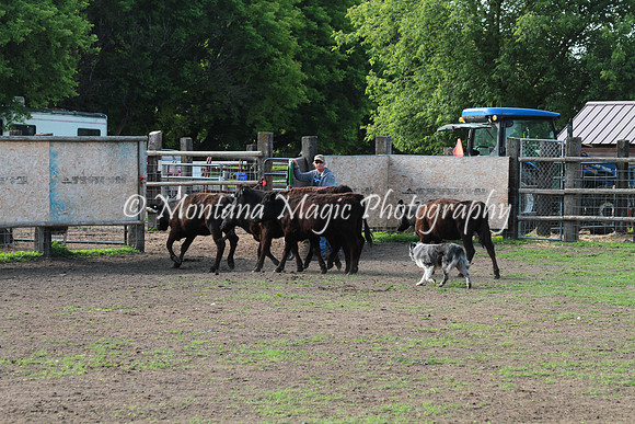 Dually_0998