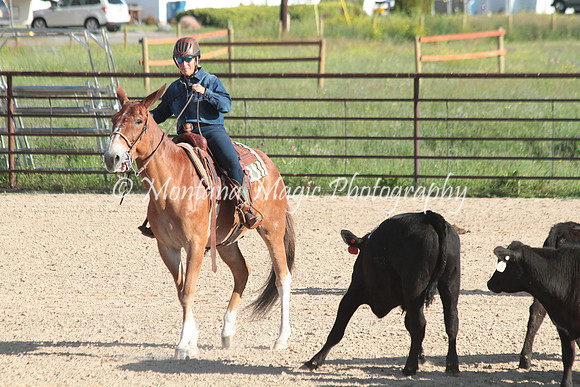 Cattle Clinic Team 1_2194