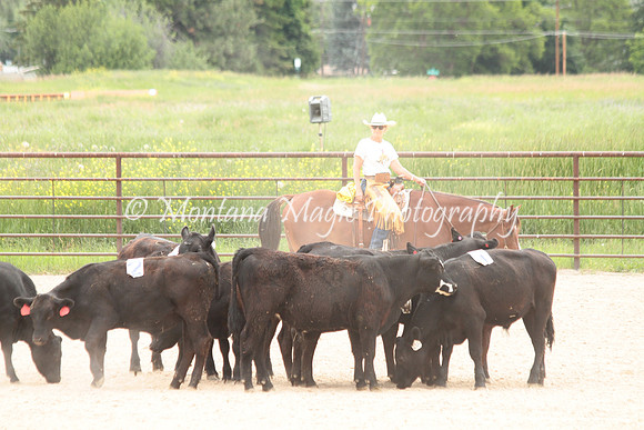 Cattle Clinic Team 4_2385