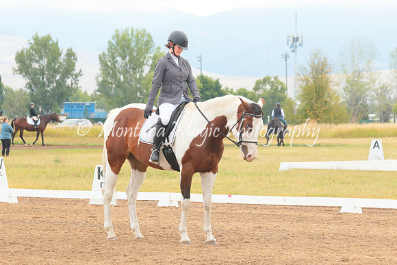 KP Solitaire Dice_2833