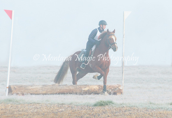 Snoop Horse_4407