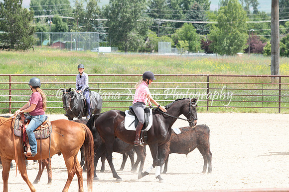 Cattle Clinic Team 3_2329