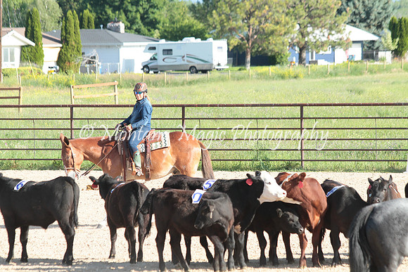 Cattle Clinic Team 1_2192