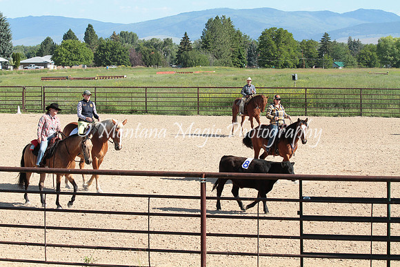 Cattle Clinic Team 1_2231