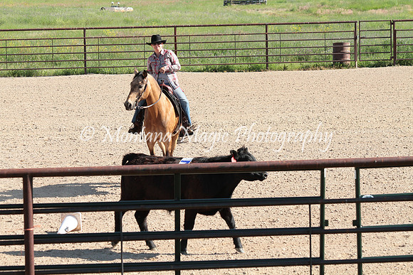 Cattle Clinic Team 1_2225