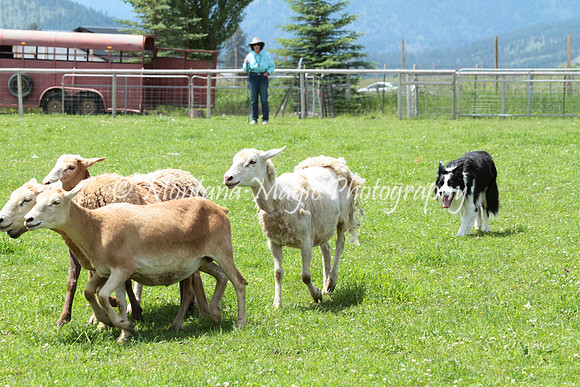 Tippy_0772