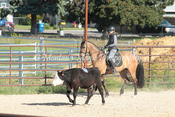 Cattle Clinic Team 1_2211