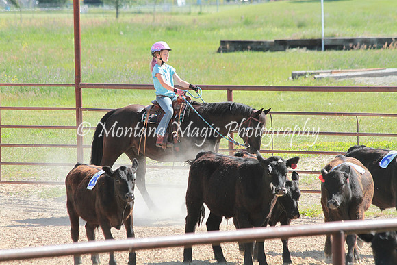 Cattle Clinic Team 2_2252