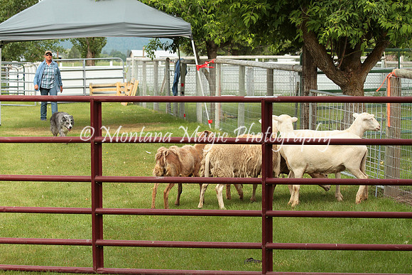 Dually_0189
