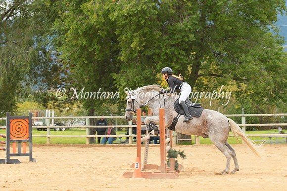 Gavilan Rey_3258