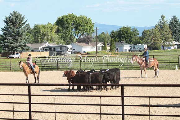 Cattle Clinic Team 1_2205