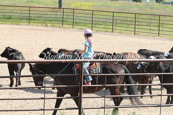 Cattle Clinic Team 2_2255