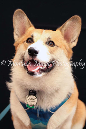 Cosmo_0389