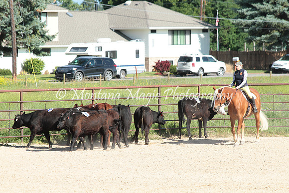 Cattle Clinic Team 1_2232