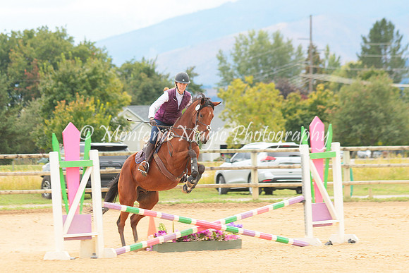 Switchback Creek_3889