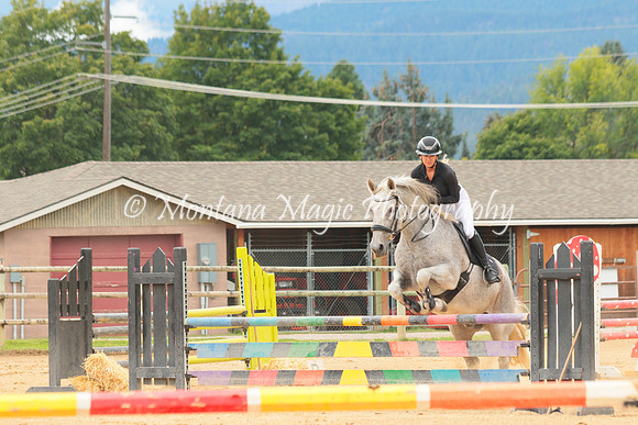 Gavilan Rey_3276